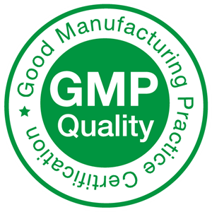 GMP-Logo